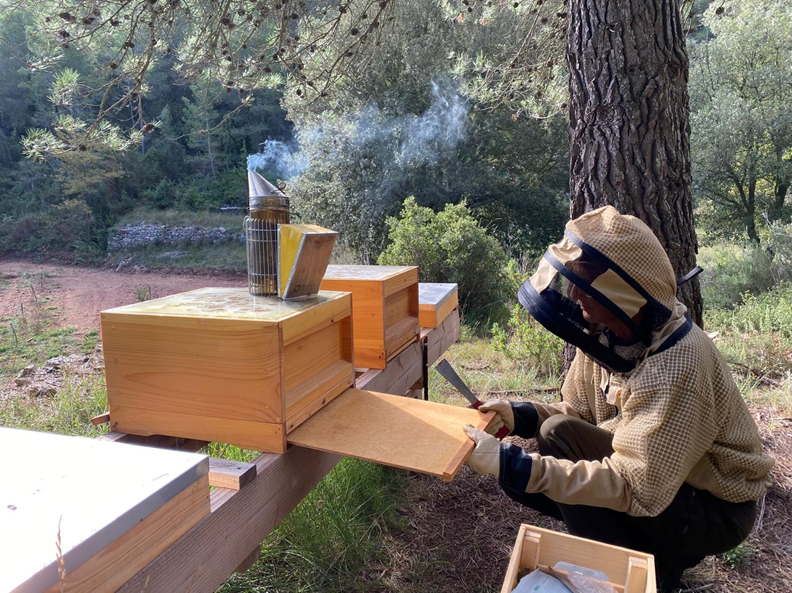 persona desarmando caja