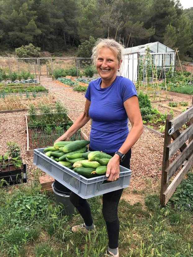 persona cosechando cultivos
